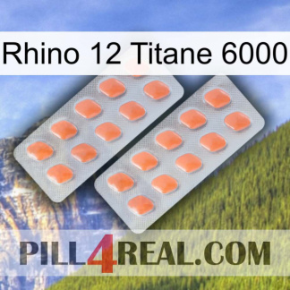 Rhino 12 Titanium 6000 27